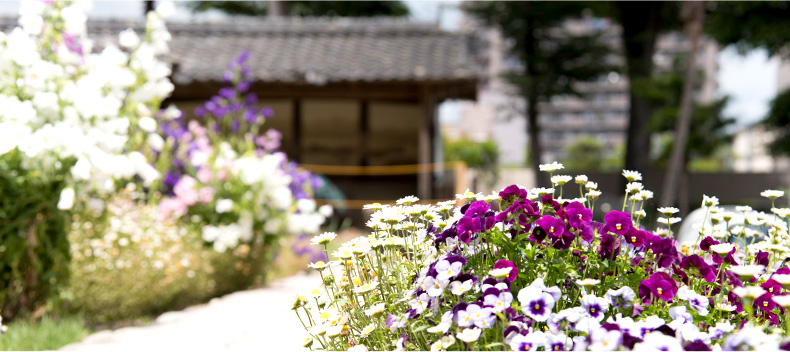 万斛庄屋公園の花